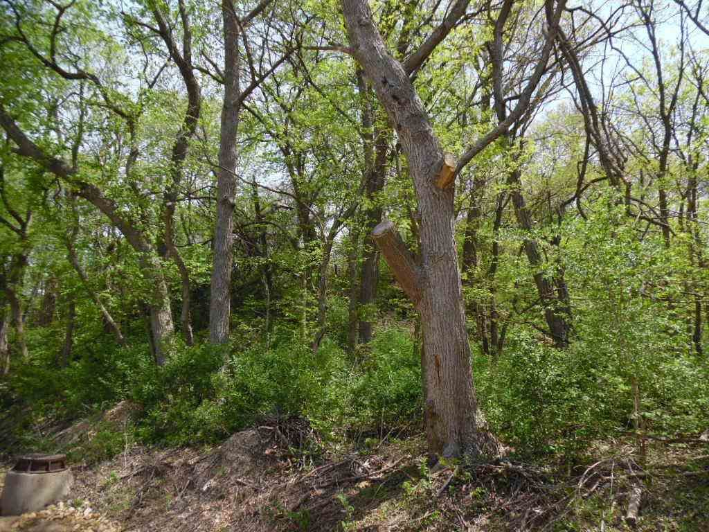 Clinton, Clinton County, IA Undeveloped Land, Homesites for sale