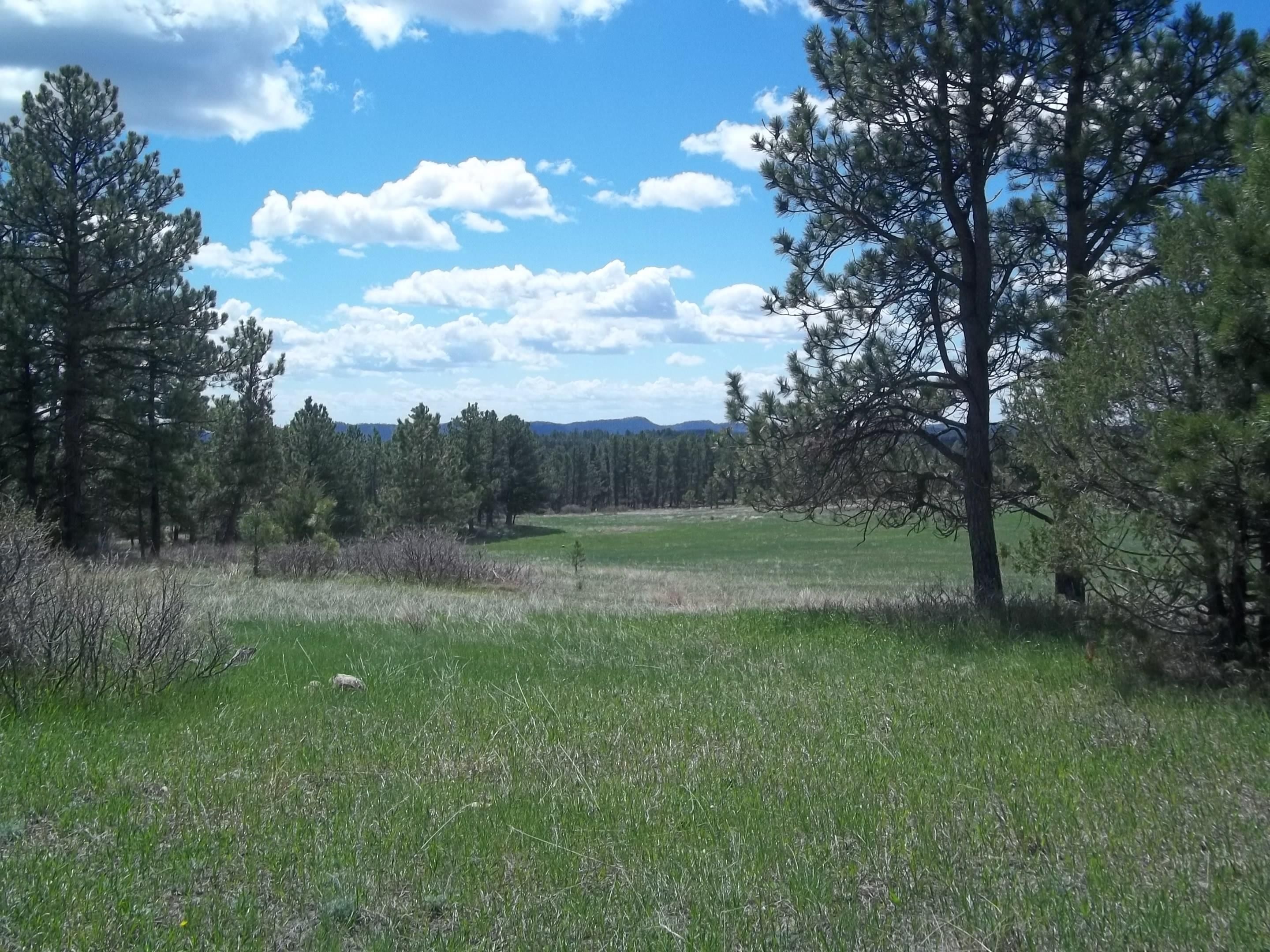 Hot Springs, Custer County, SD Recreational Property, Hunting Property