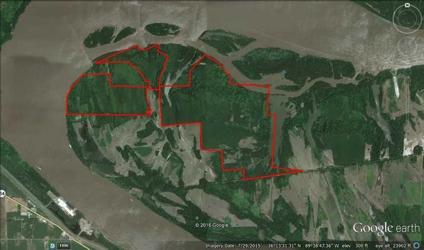 Ridgely, Lake County, TN Recreational Property, Riverfront Property