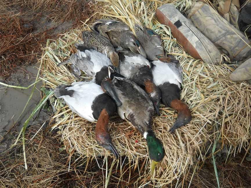 Concordia, Johnson County, MO Recreational Property, Lakefront Property