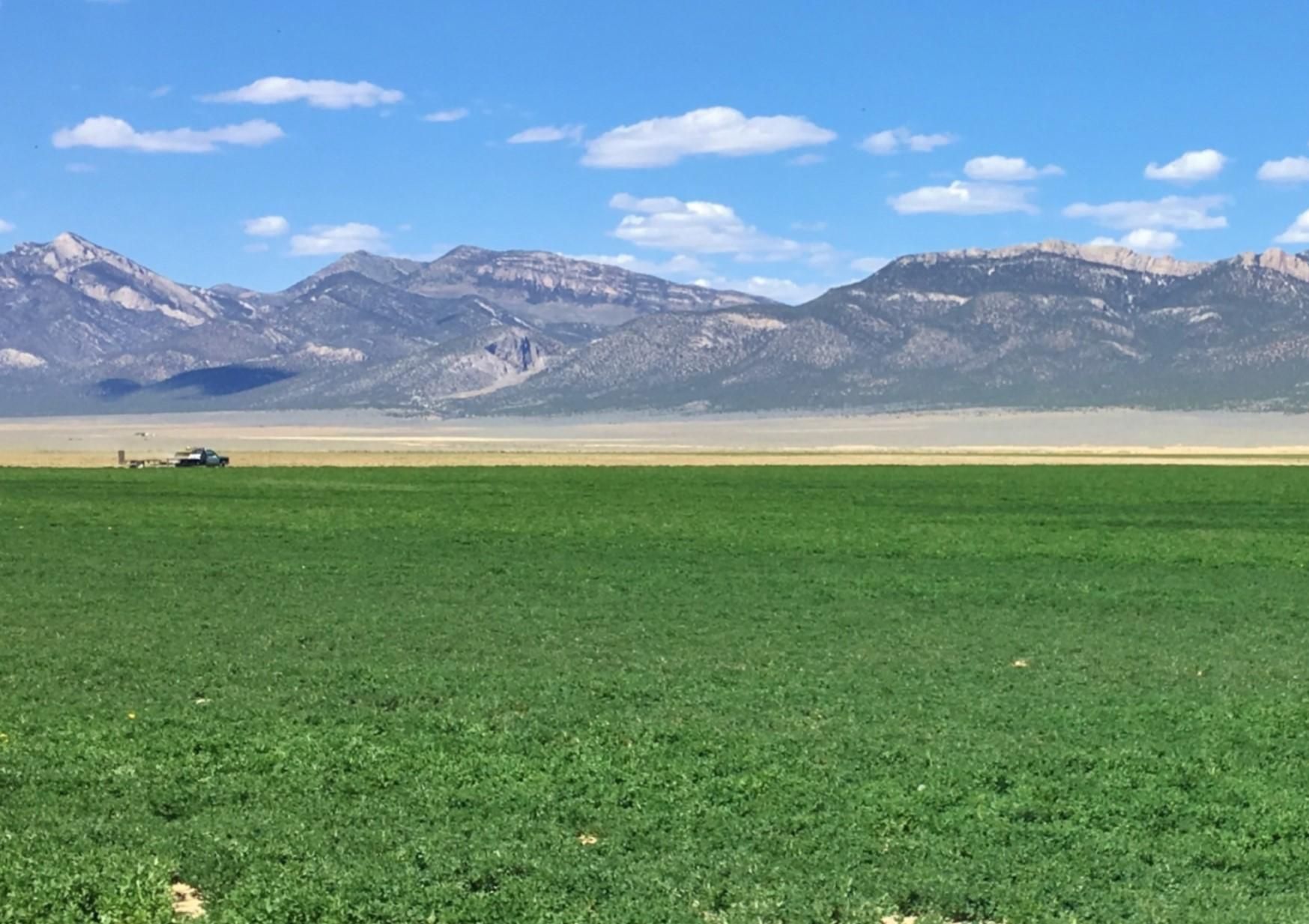 854 acres in Lund, NV, 89317 LandWatch