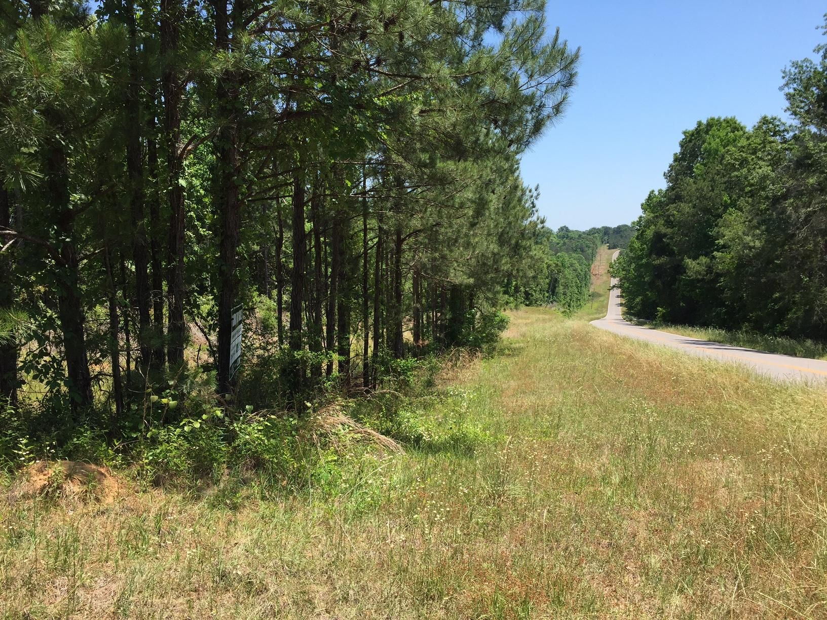 Jones, Autauga County, AL Recreational Property, Timberland Property