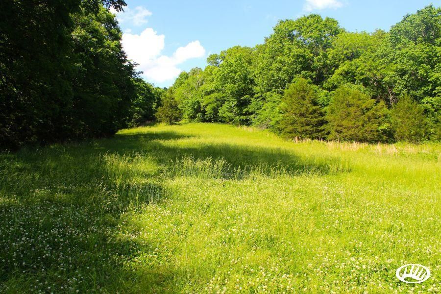 Cushman, Independence County, AR Farms and Ranches for sale Property ID