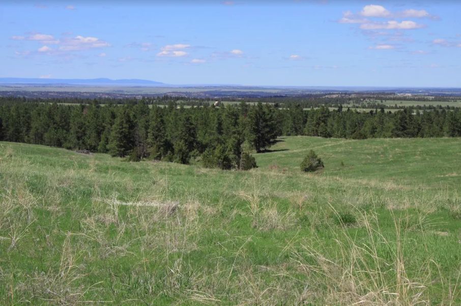 Roundup, Musselshell County, MT Farms and Ranches, Recreational