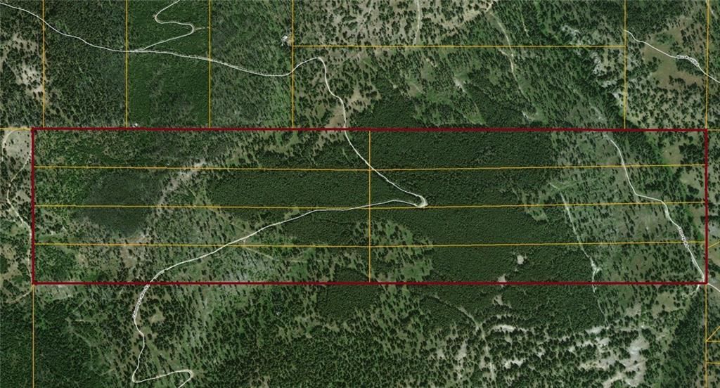 Helmville, Powell County, MT Undeveloped Land for sale Property ID