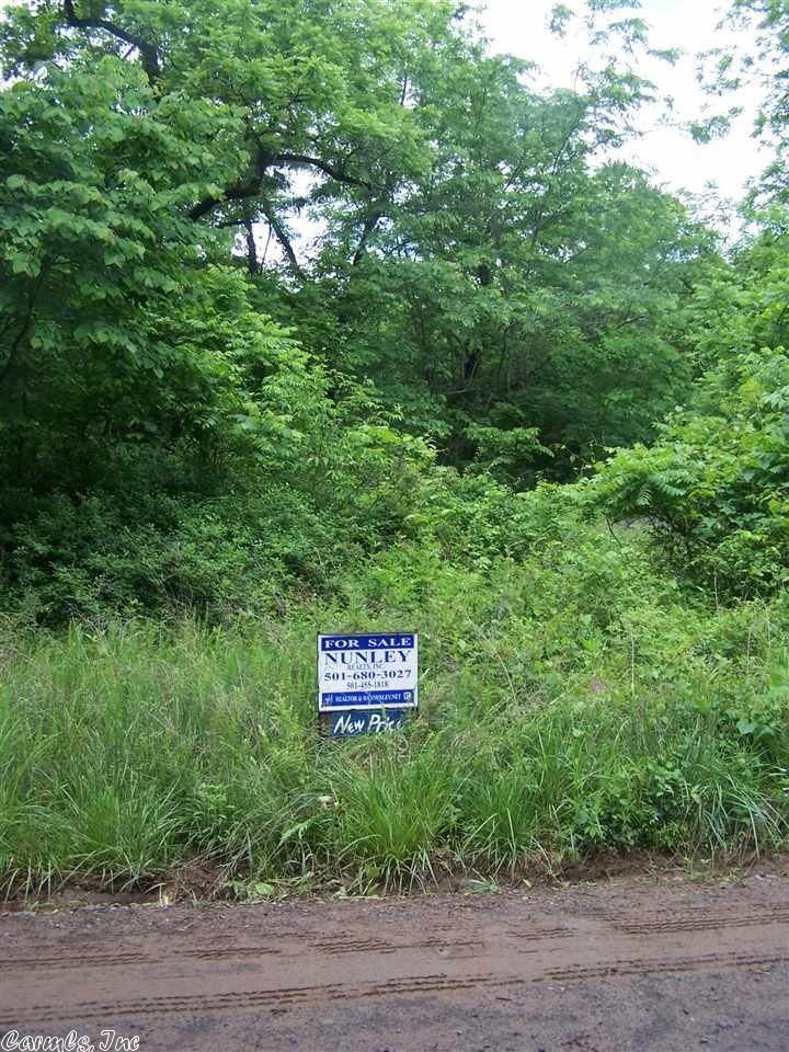 Dennard, Van Buren County, AR Undeveloped Land for sale Property ID