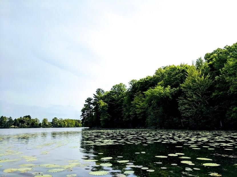 Bloomer, Chippewa County, WI Recreational Property, Undeveloped Land