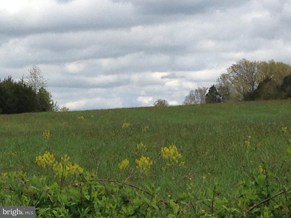 Bealeton, Fauquier County, VA Undeveloped Land for sale Property ID