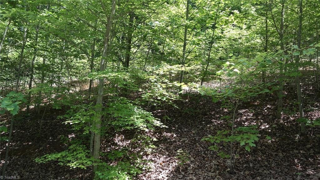 Sophia, Randolph County, NC Undeveloped Land, Homesites for sale