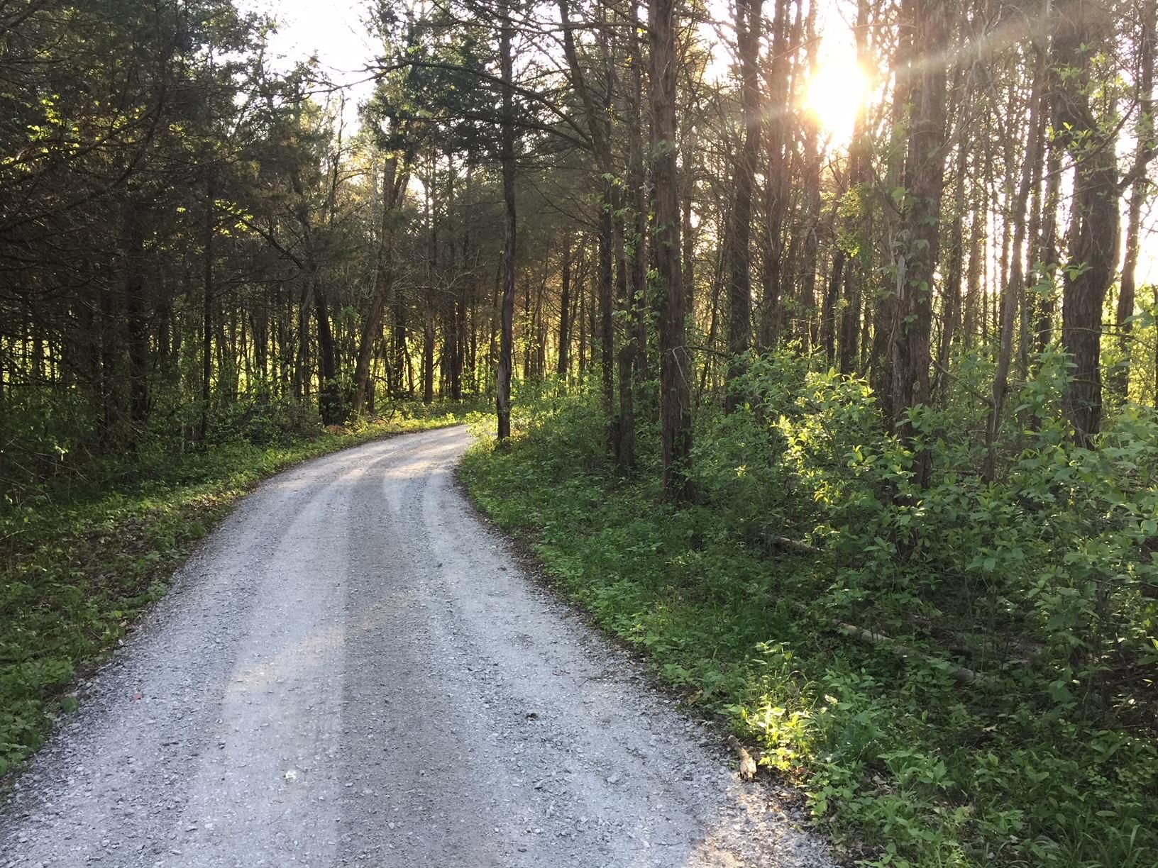 Watertown, Wilson County, TN Farms and Ranches, House for sale Property ID 331629540 LandWatch