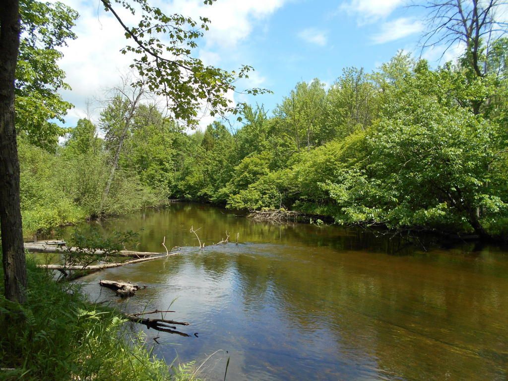 Canadian Lakes, Mecosta County, MI Undeveloped Land, Lakefront Property