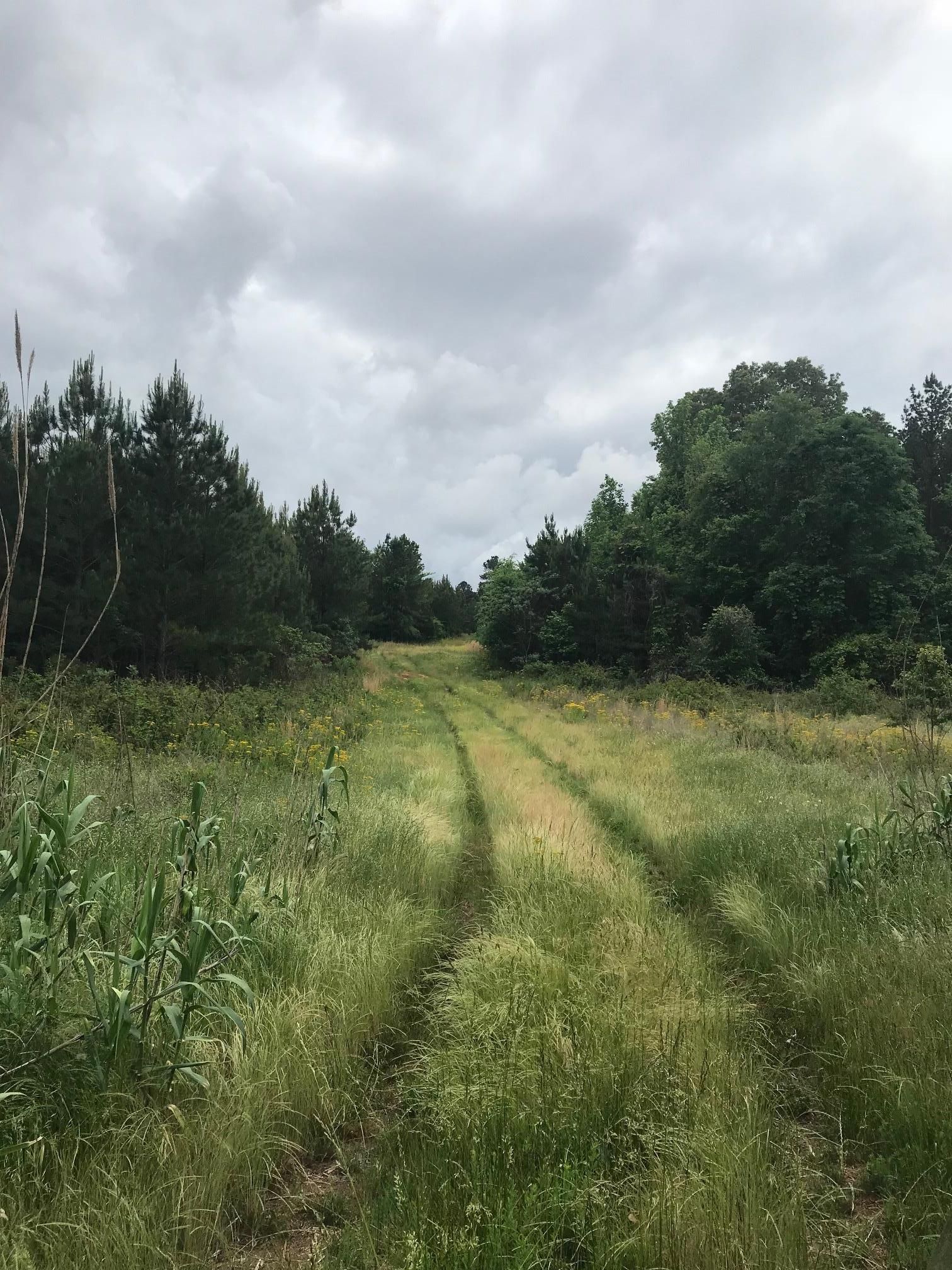 Jonesville, Union County, SC Recreational Property, Timberland Property