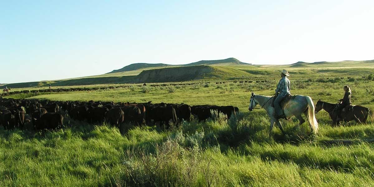 Broadus, Powder River County, MT Farms and Ranches, Recreational