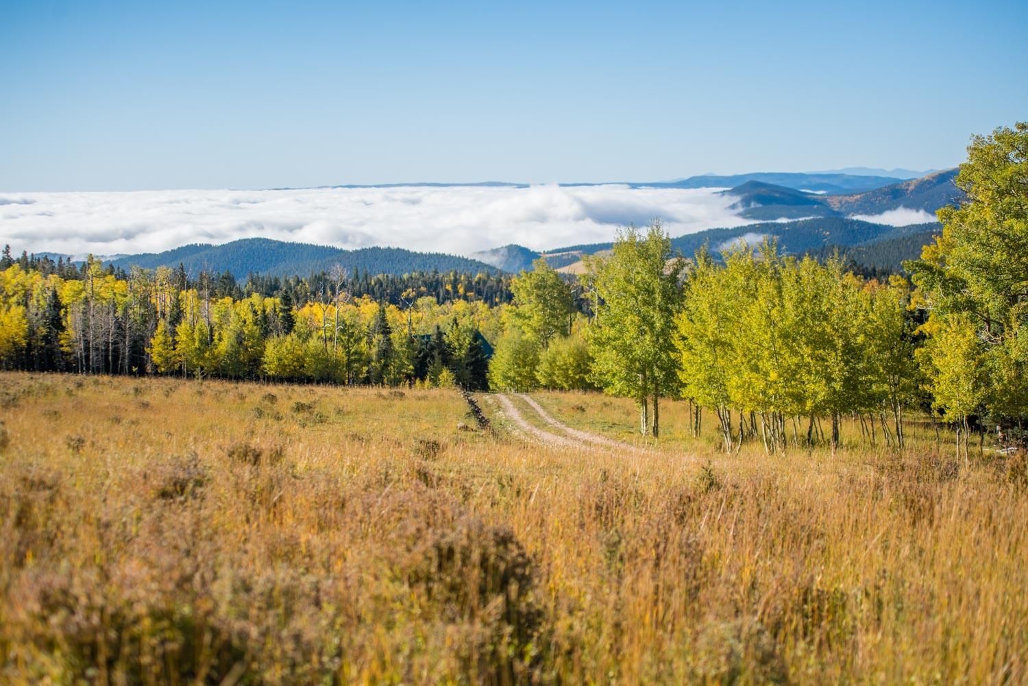 35 acres in Cuchara, CO, 81055 LandWatch