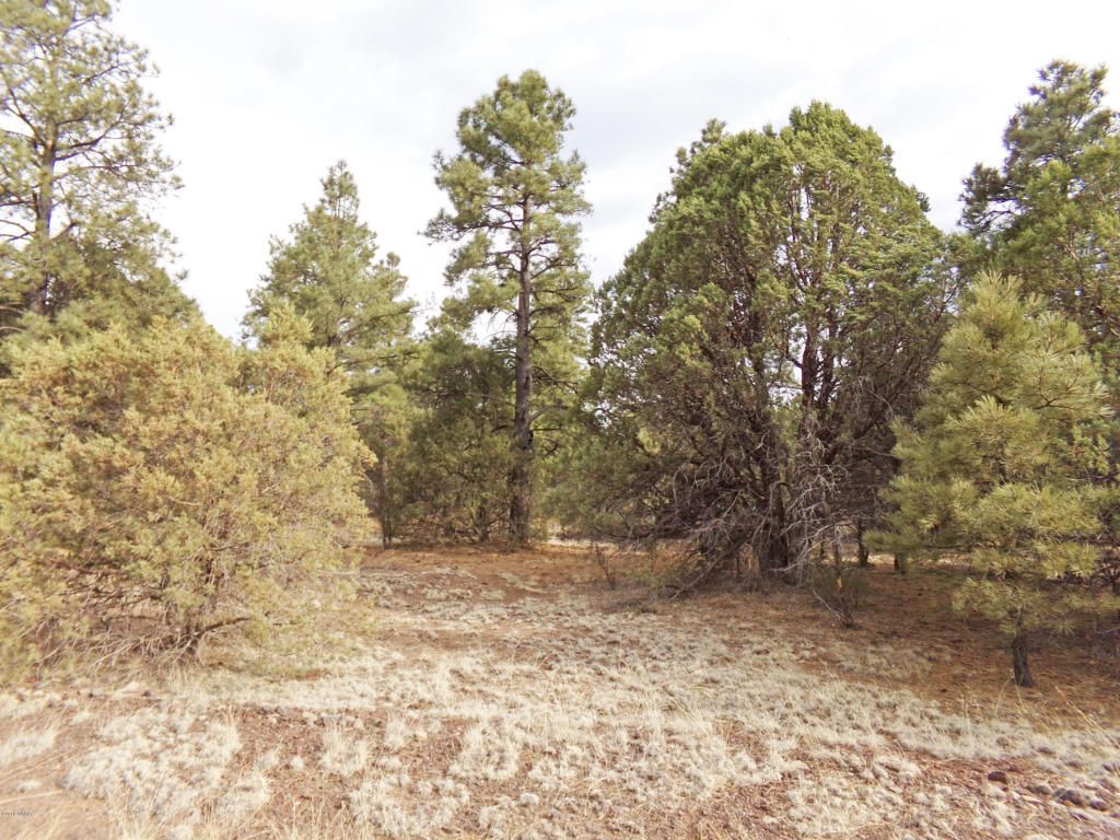 Nutrioso, Apache County, AZ Undeveloped Land for sale Property ID
