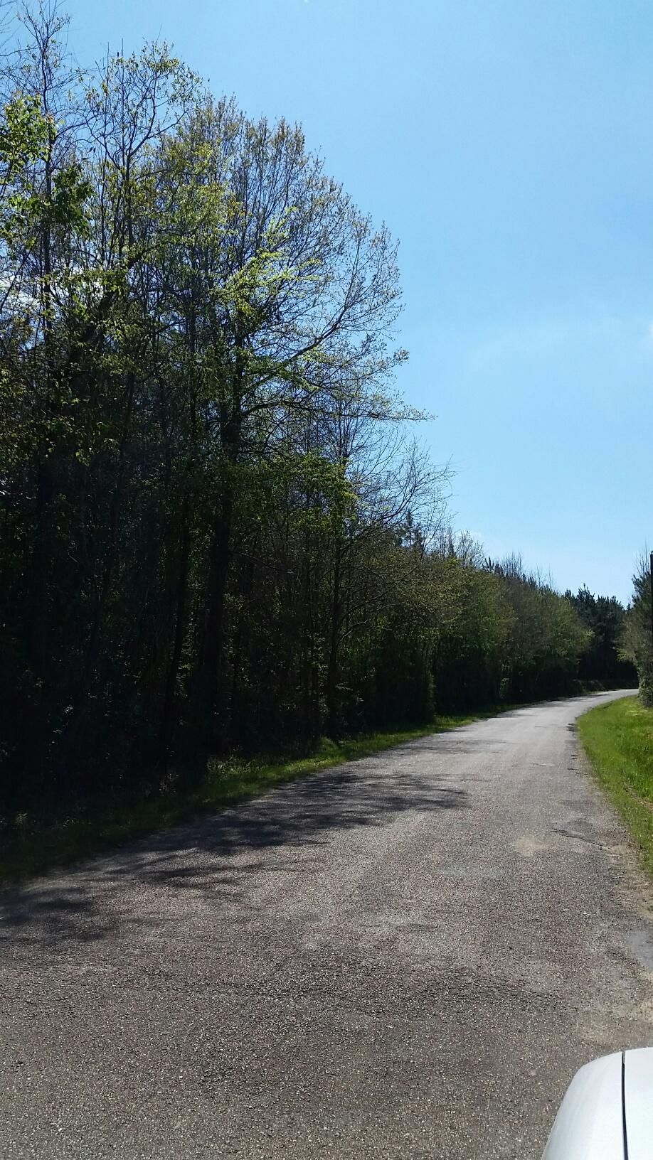 Pine Grove, Saint Helena Parish, LA Timberland Property, Undeveloped