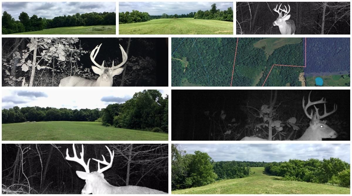 Mammoth Cave, Edmonson County, KY Recreational Property, Undeveloped