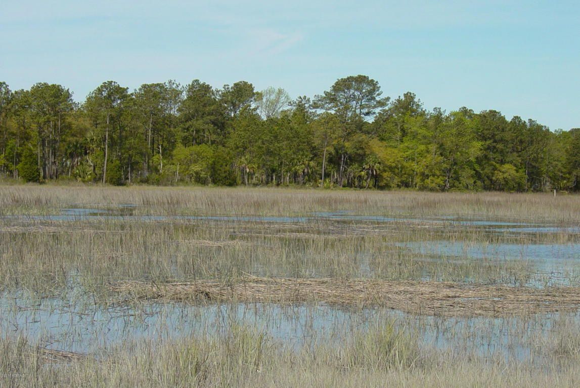 Dataw Island, Beaufort County, SC Undeveloped Land for sale Property ID