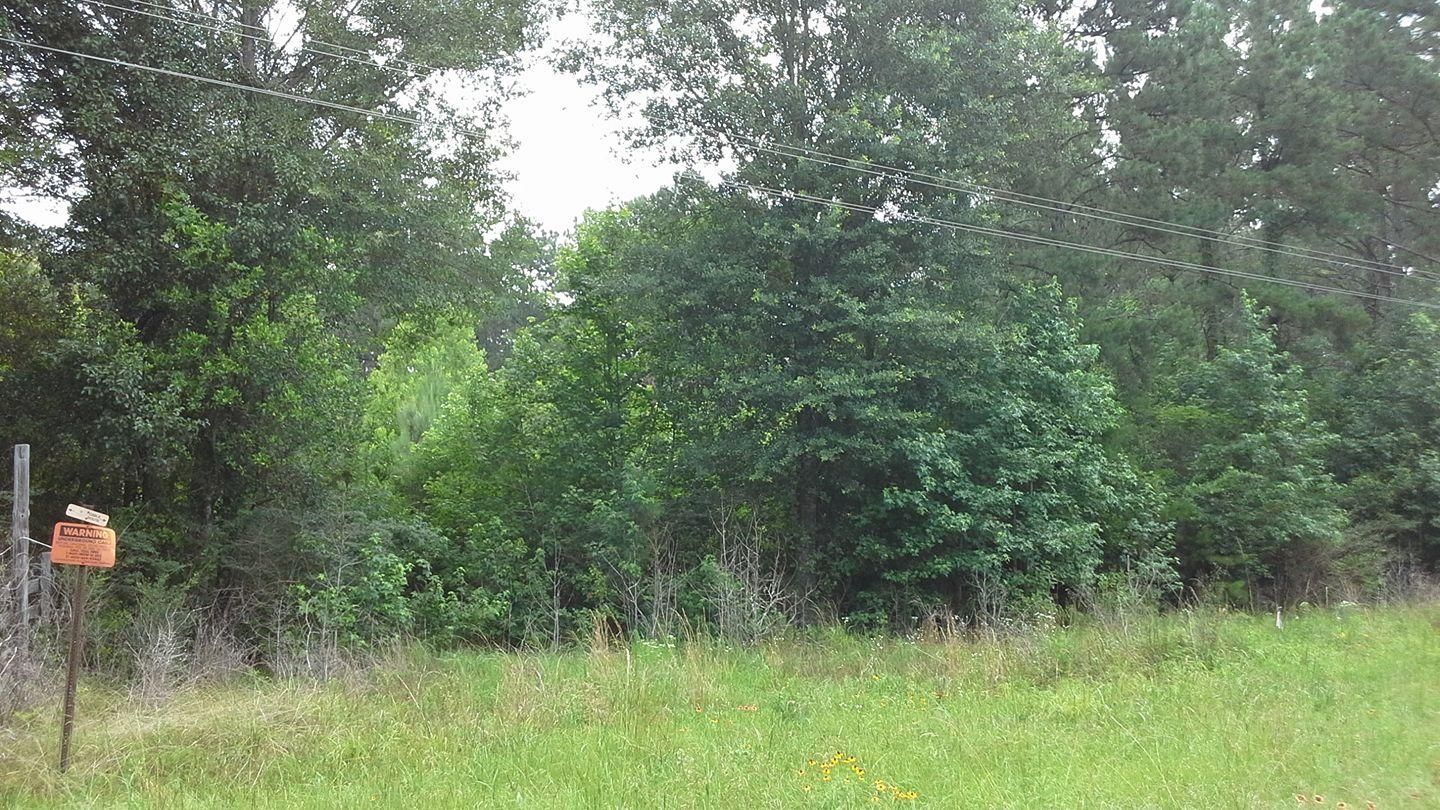 Woodville, Tyler County, TX Recreational Property, Timberland Property