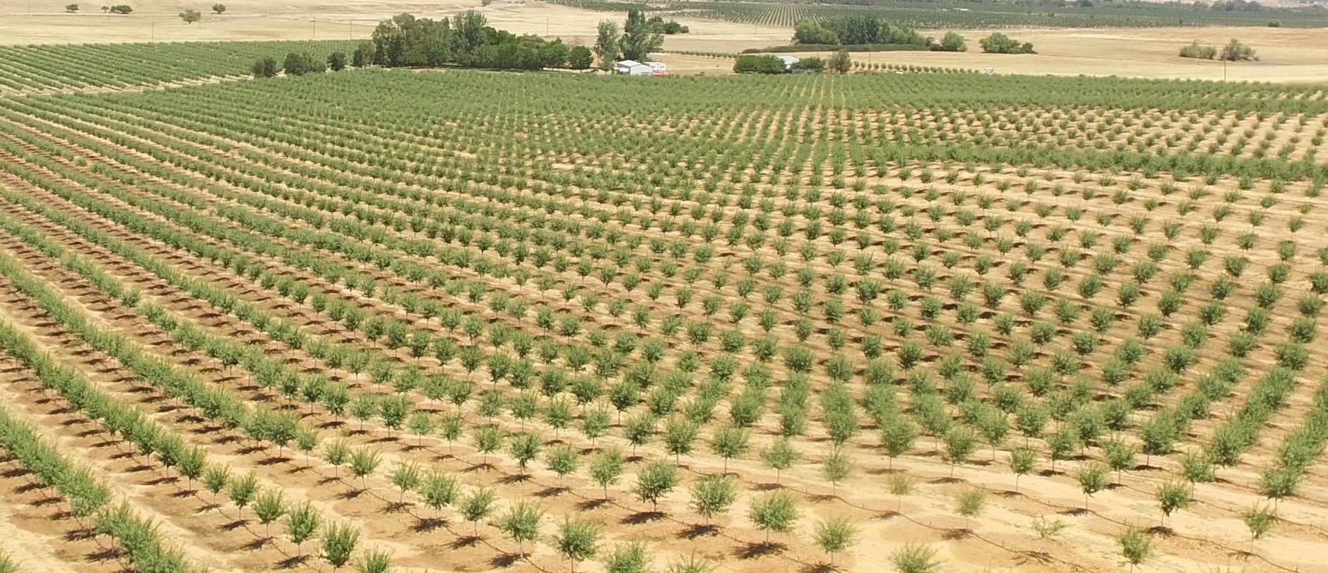 Corning, Tehama County, CA Farms and Ranches for sale Property ID