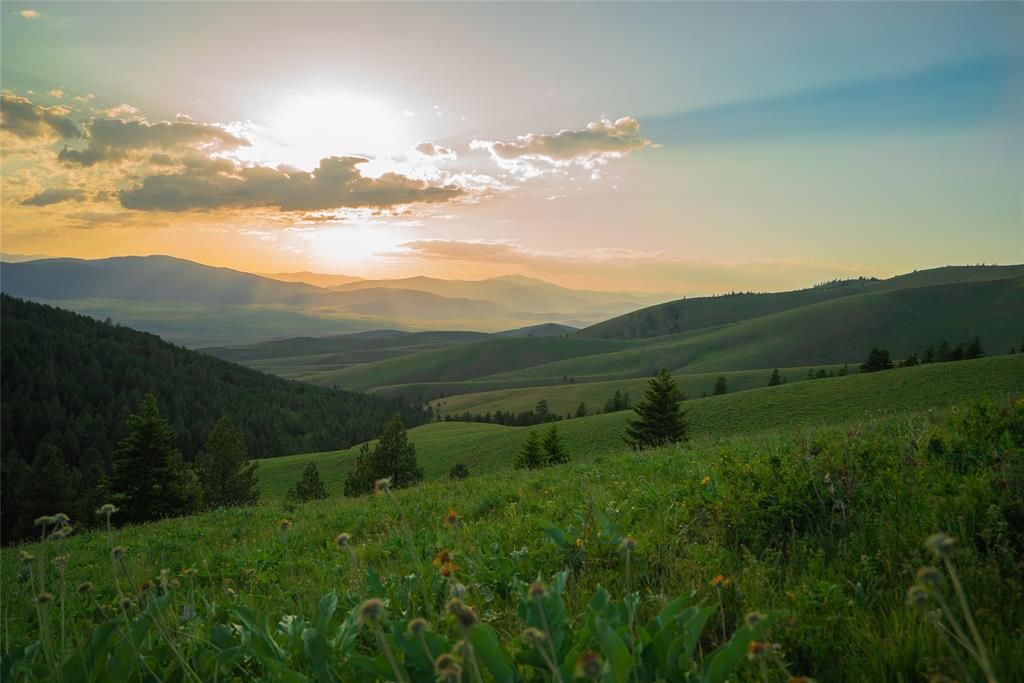 Plains, Sanders County, MT Undeveloped Land for sale Property ID