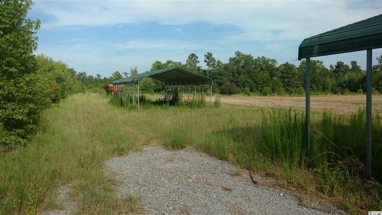 Salters, Williamsburg County, SC Undeveloped Land for sale Property ID