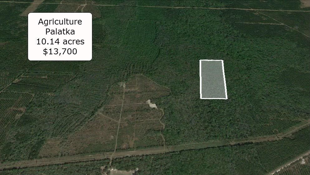 Palatka, Putnam County, FL Farms and Ranches, Undeveloped Land for sale