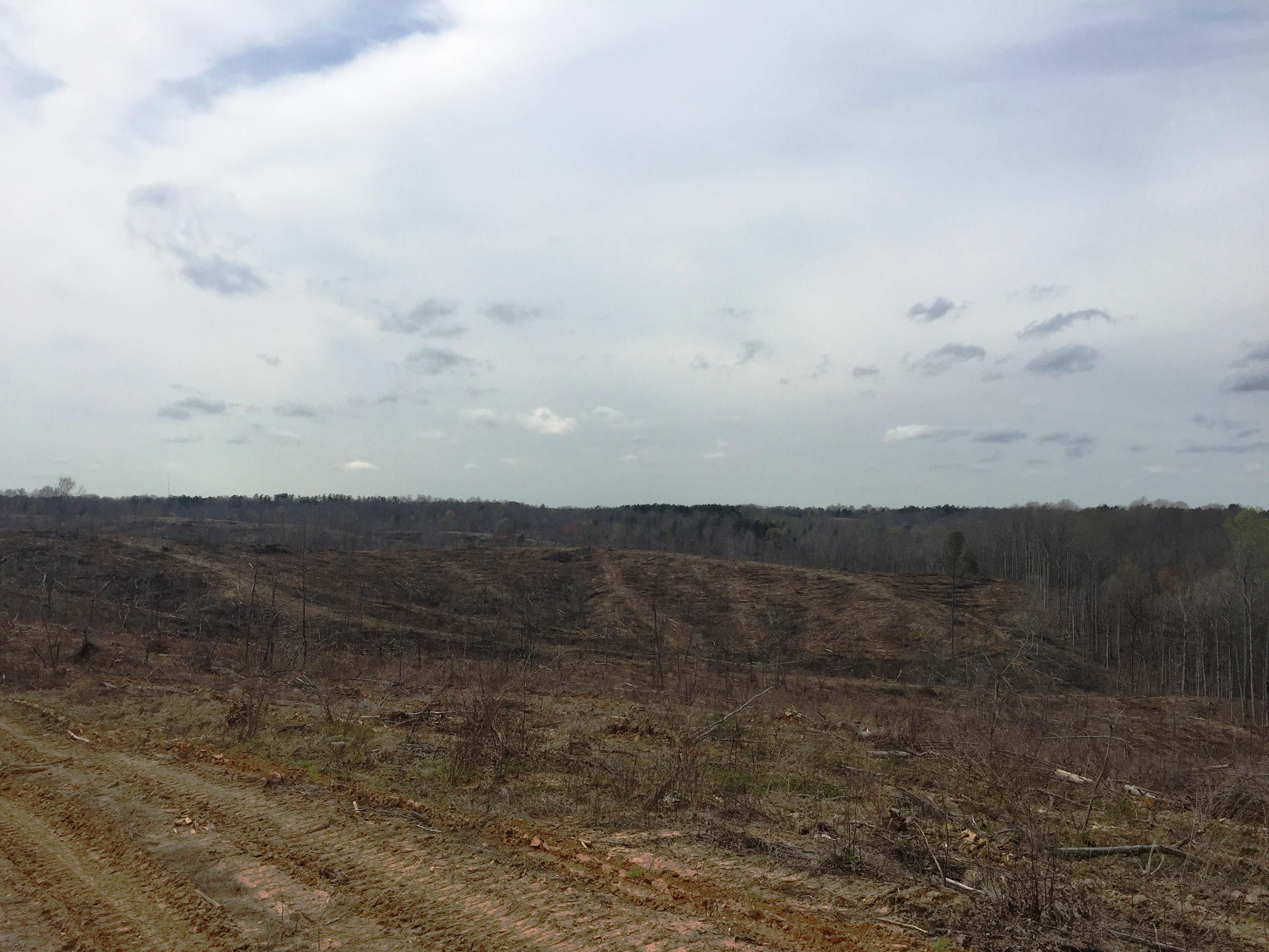 Bolivar, Hardeman County, TN Recreational Property, Timberland Property
