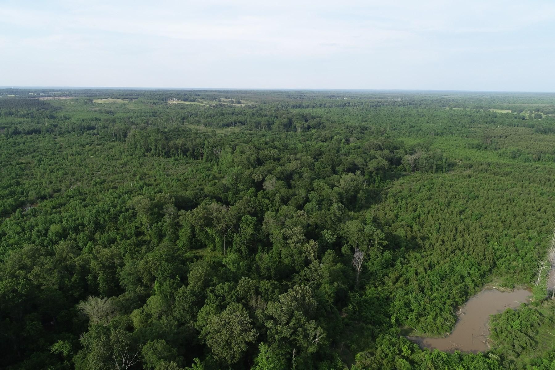 Prescott, Nevada County, AR Timberland Property, Hunting Property for