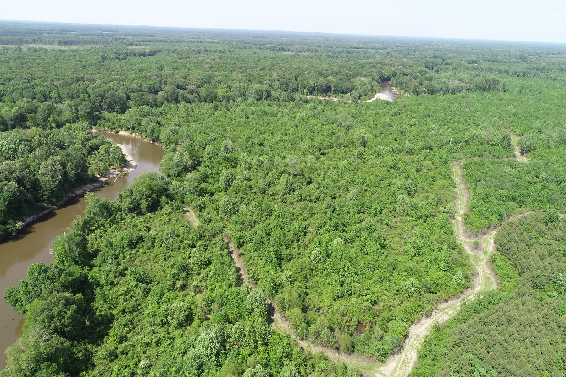 Chidester, Ouachita County, AR Timberland Property, Hunting Property