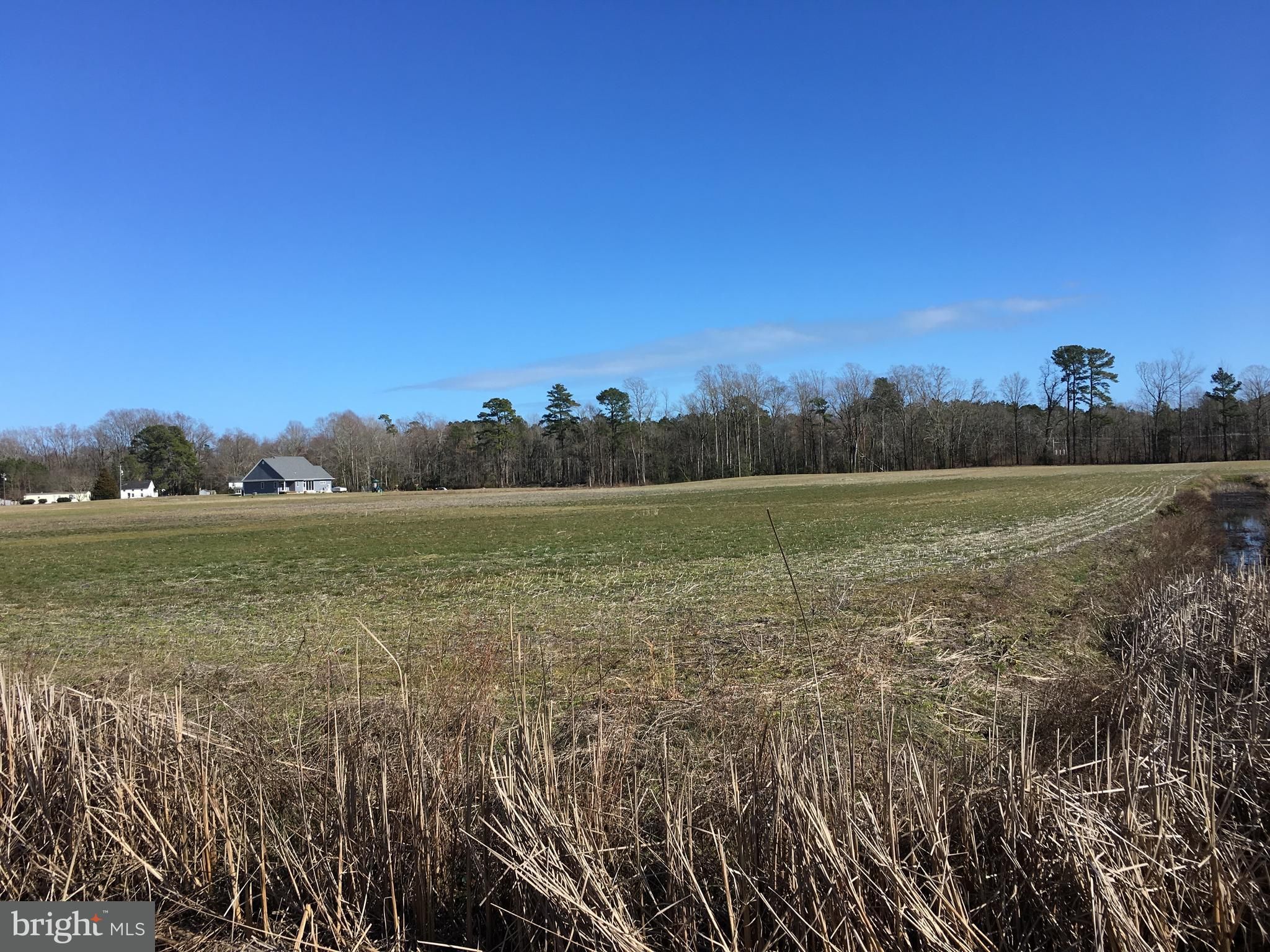Girdletree, Worcester County, MD Undeveloped Land for sale Property ID