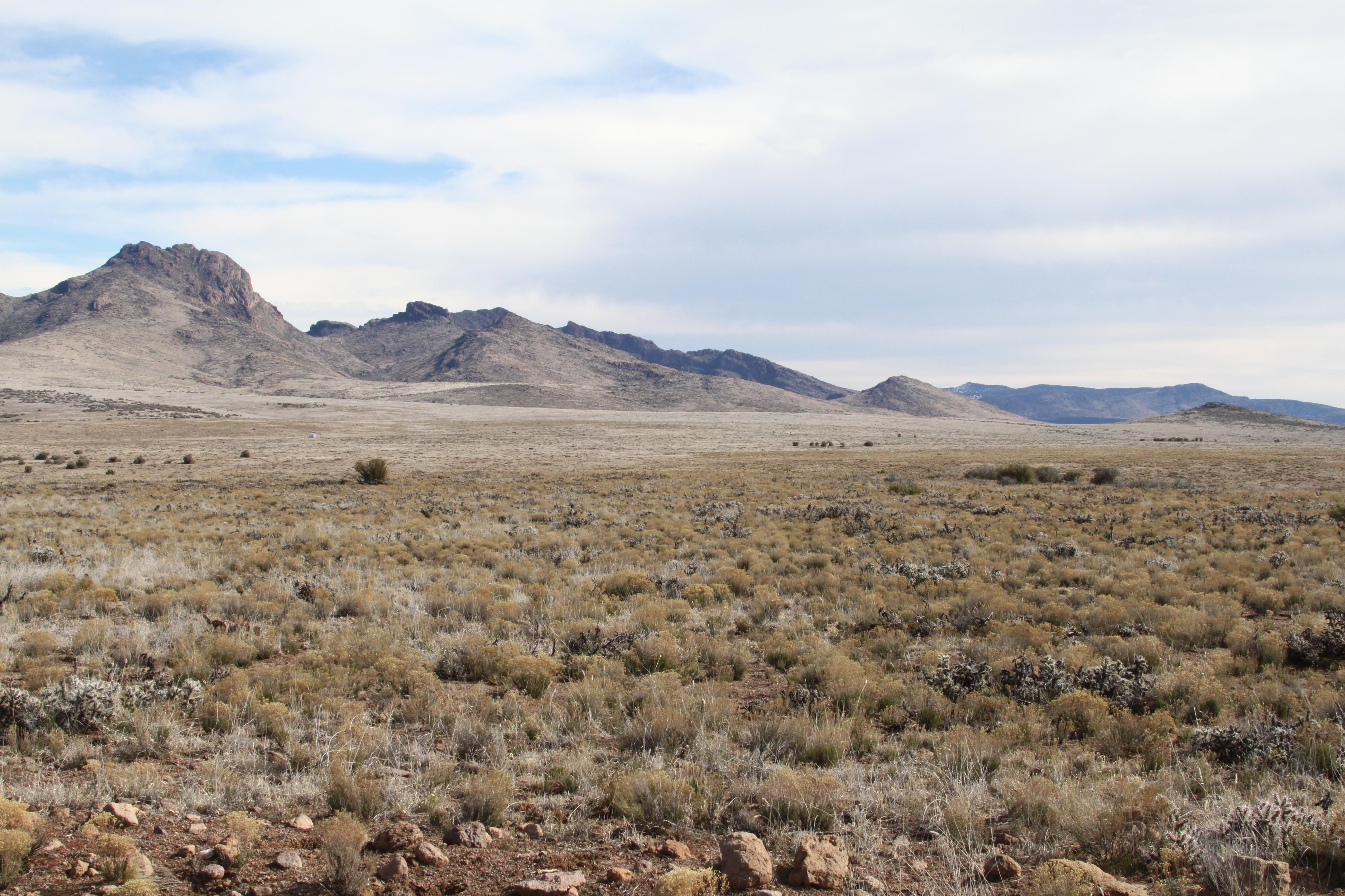 Wikieup, Mohave County, AZ Undeveloped Land, Horse Property for sale