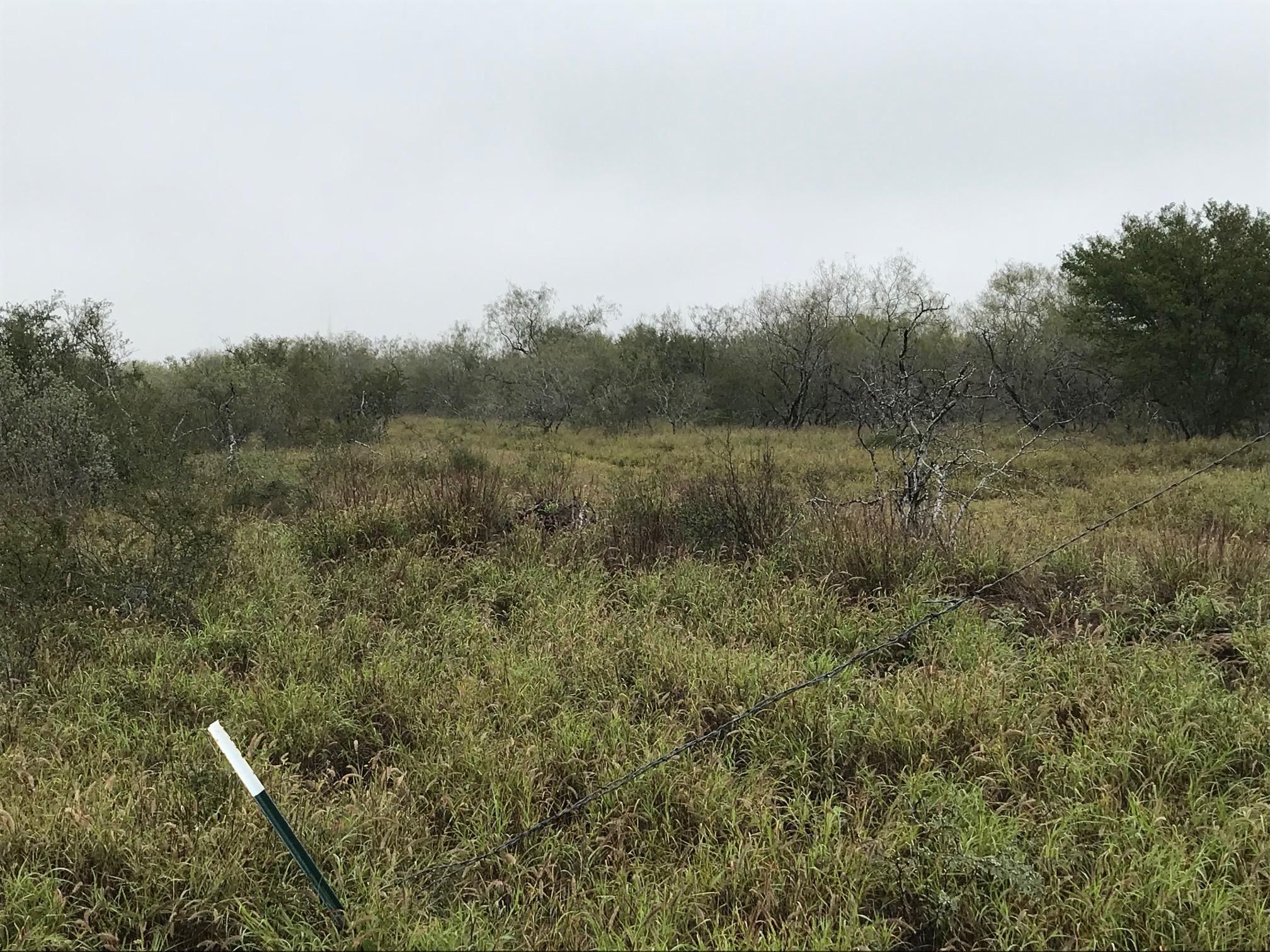 Sullivan City, Starr County, TX Hunting Property, House for sale