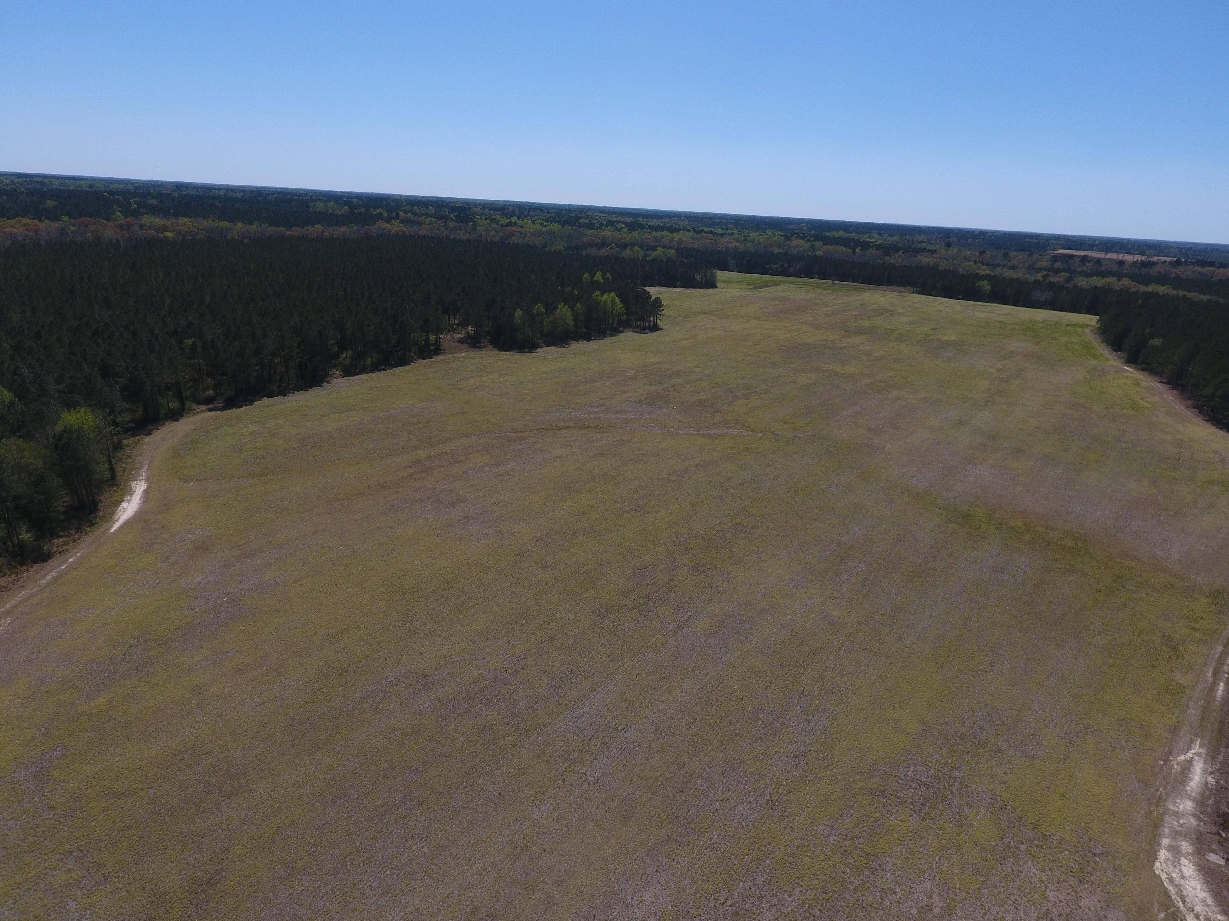 Yale, Sussex County, VA Farms and Ranches, Timberland Property for sale