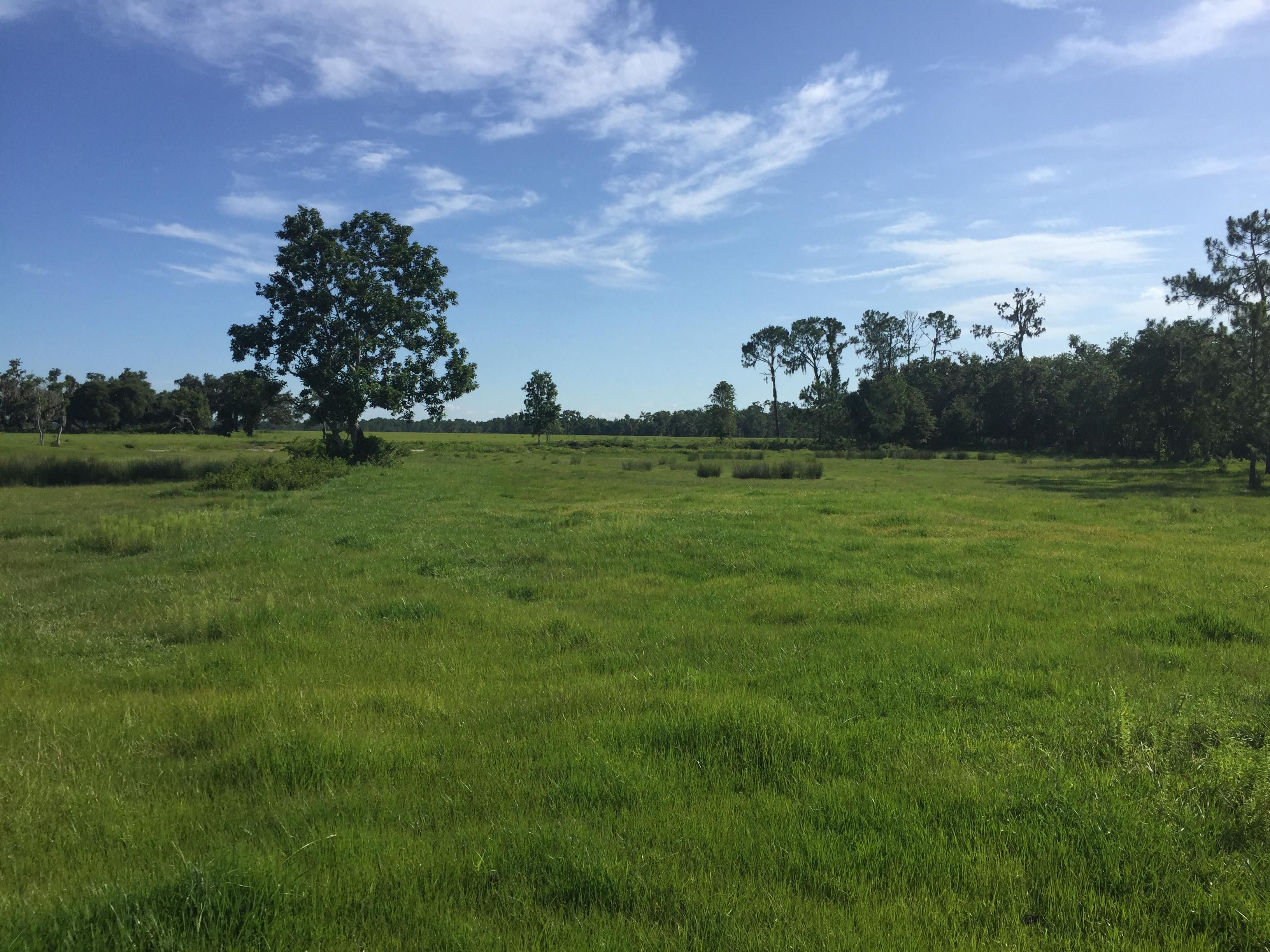 Fort Meade, Polk County, FL Farms and Ranches, Lakefront Property, Waterfront Property for sale