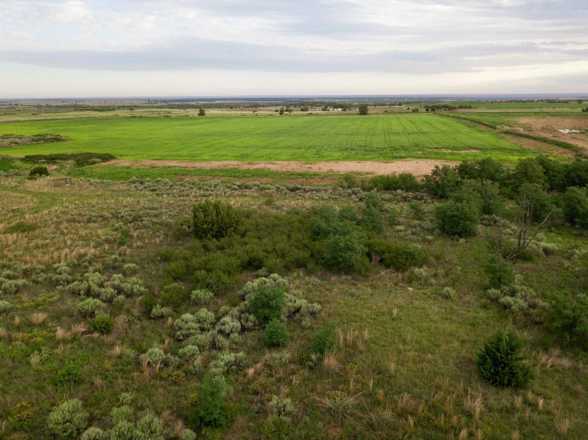 Hedley, Donley County, TX Farms and Ranches, Recreational Property