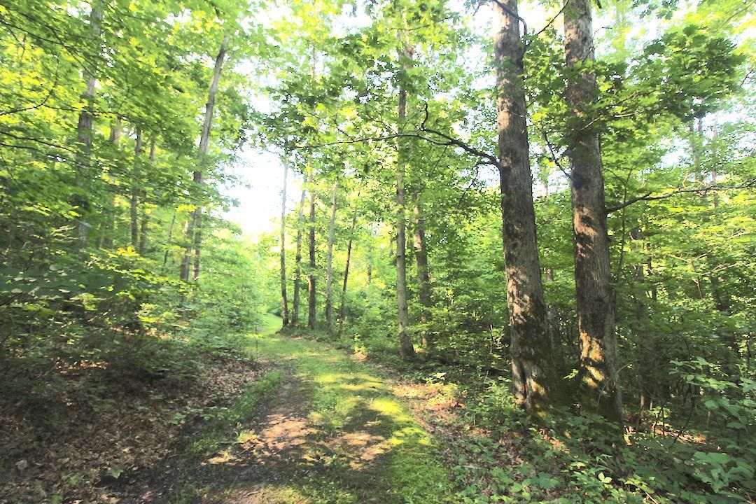 Matamoras, Monroe County, OH Recreational Property, Timberland Property, Hunting Property for