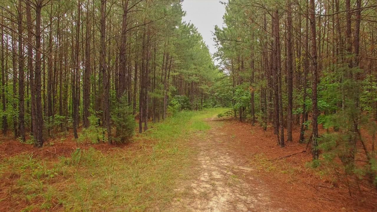 Peachland, Anson County, NC Recreational Property, Timberland Property