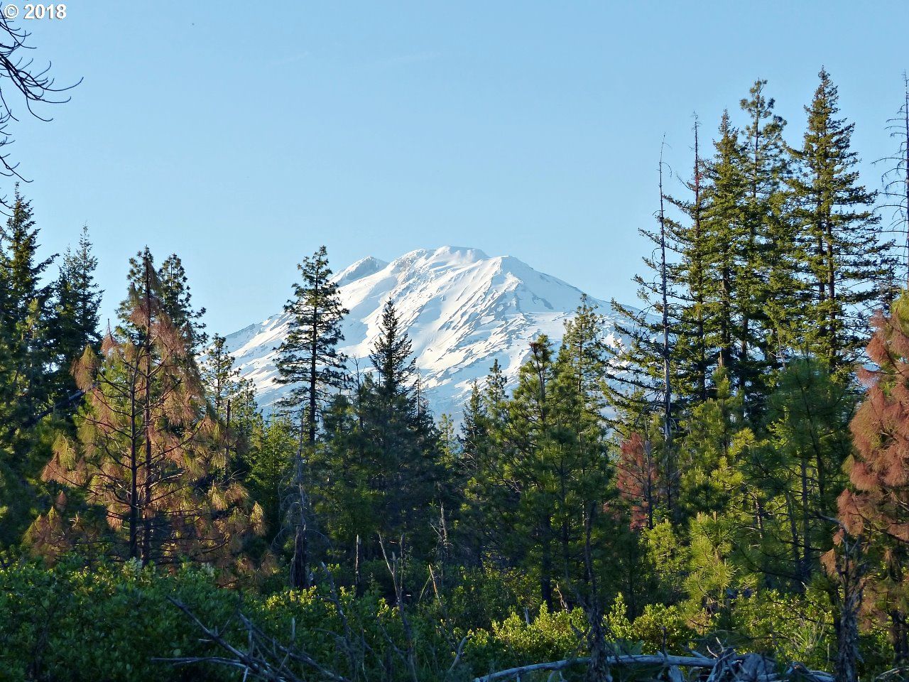 Trout Lake, Klickitat County, WA Undeveloped Land, Homesites for sale