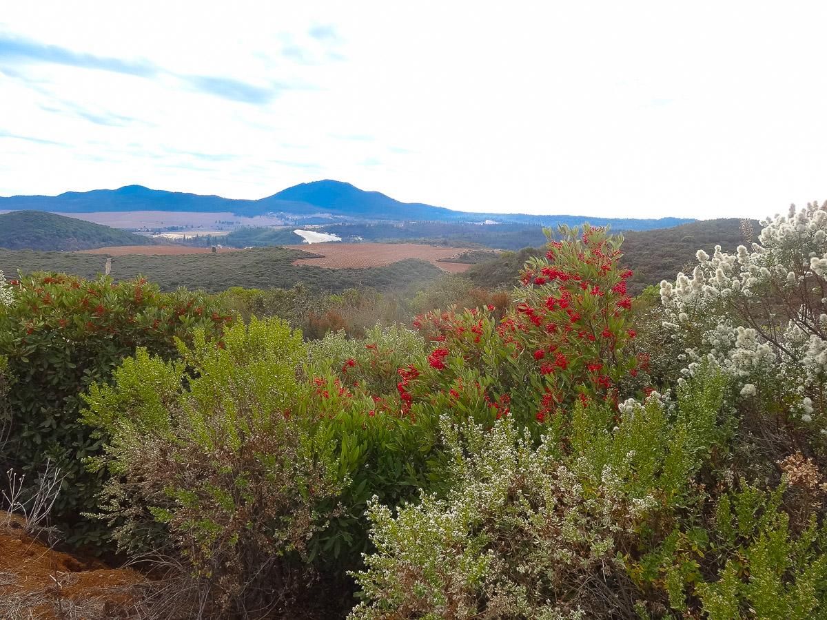 Kelseyville, Lake County, CA Farms and Ranches for sale Property ID