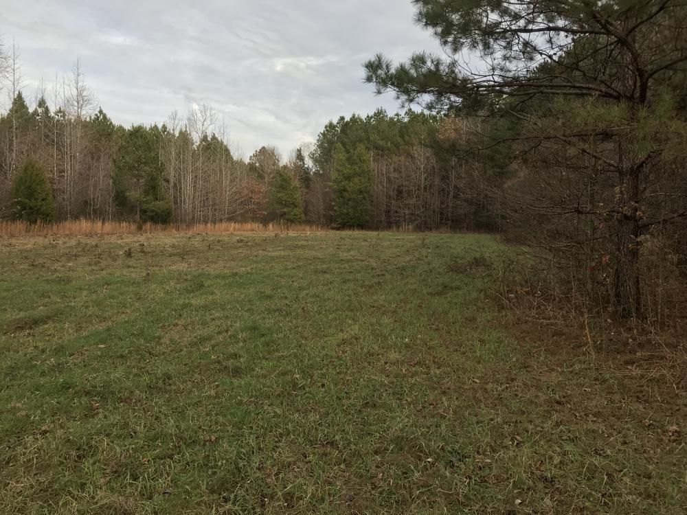 Pontotoc, Calhoun County, MS Recreational Property, Timberland Property