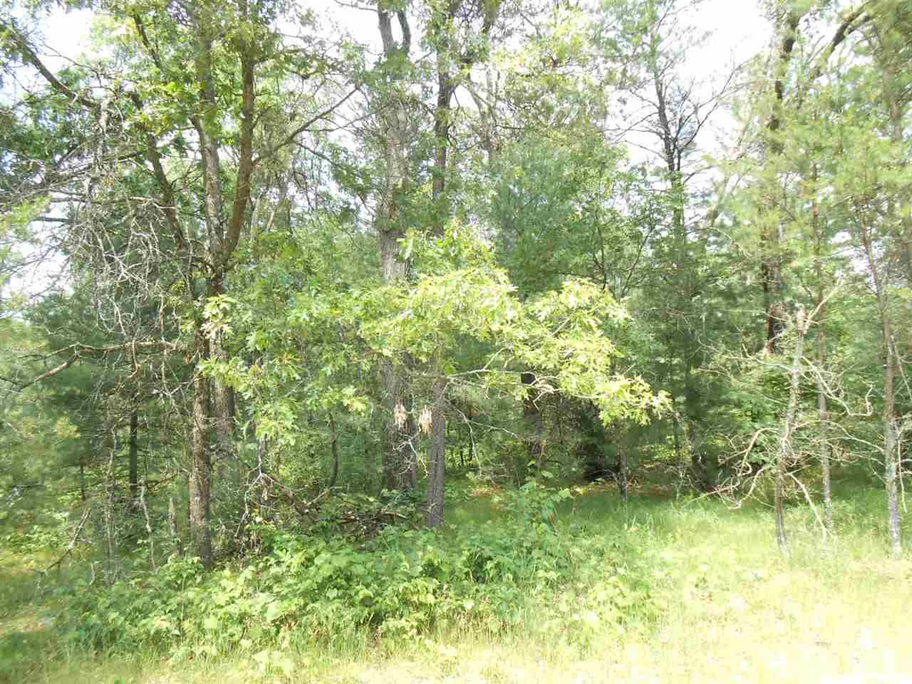 Friendship, Adams County, WI Undeveloped Land, Homesites for sale