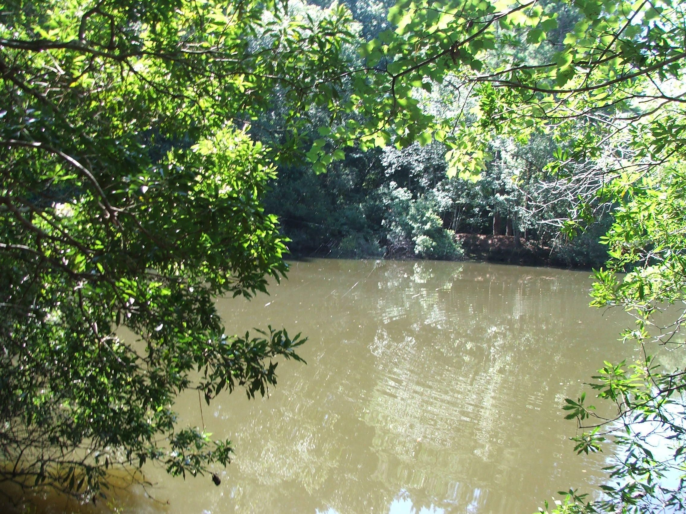Claxton, Evans County, GA Recreational Property, Timberland Property