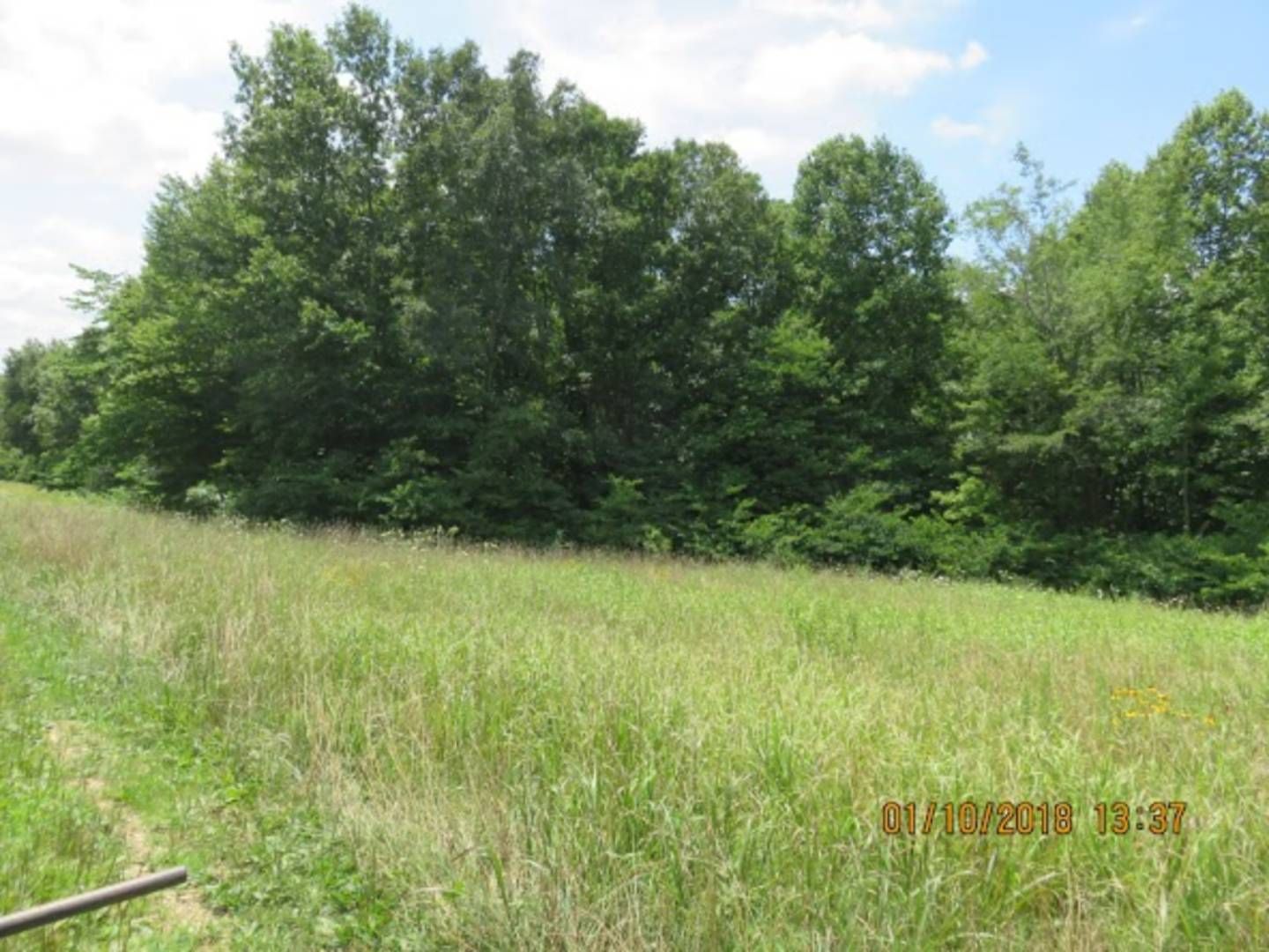 Knifley, Adair County, KY Undeveloped Land for sale Property ID