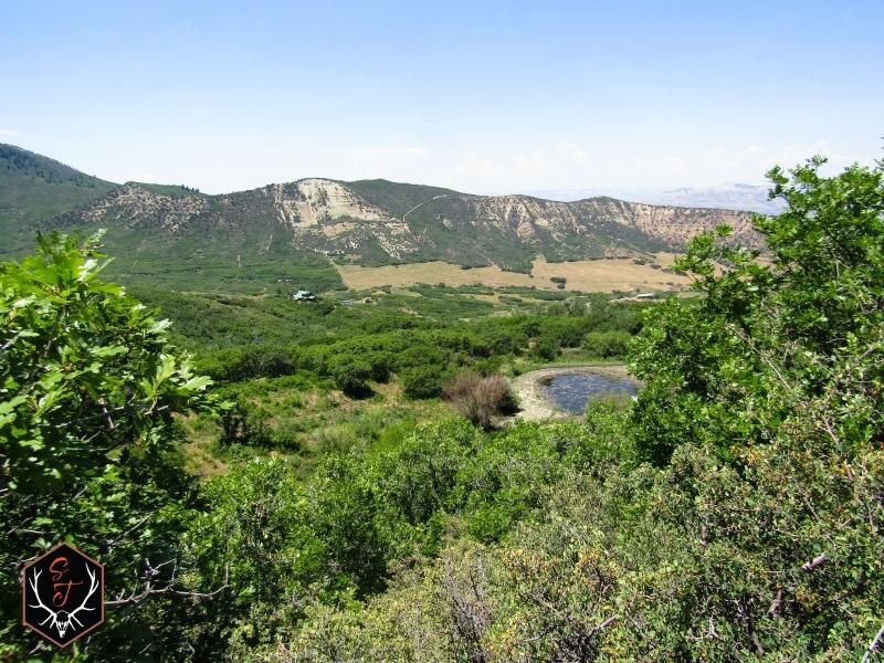 Collbran, Mesa County, CO Recreational Property, Undeveloped Land
