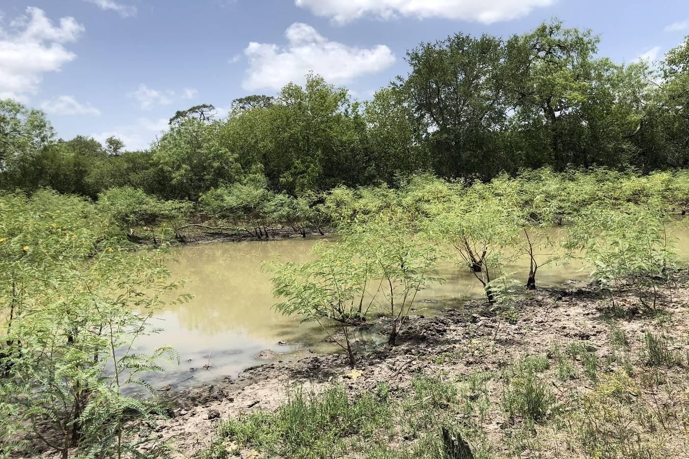 Mccoy, Atascosa County, TX Farms and Ranches, Hunting Property, House