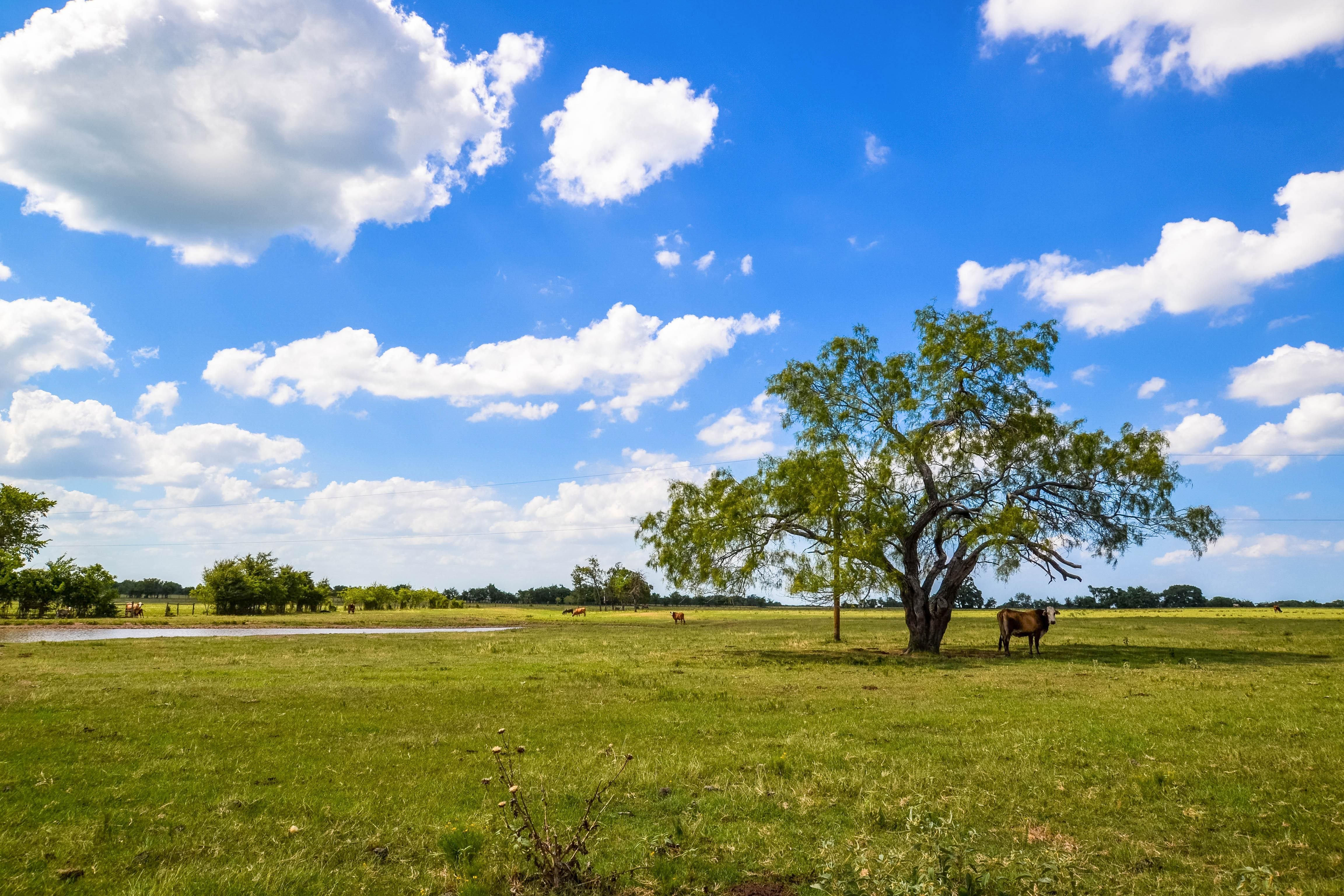 Streetman, Navarro County, TX Farms and Ranches, Hunting Property for