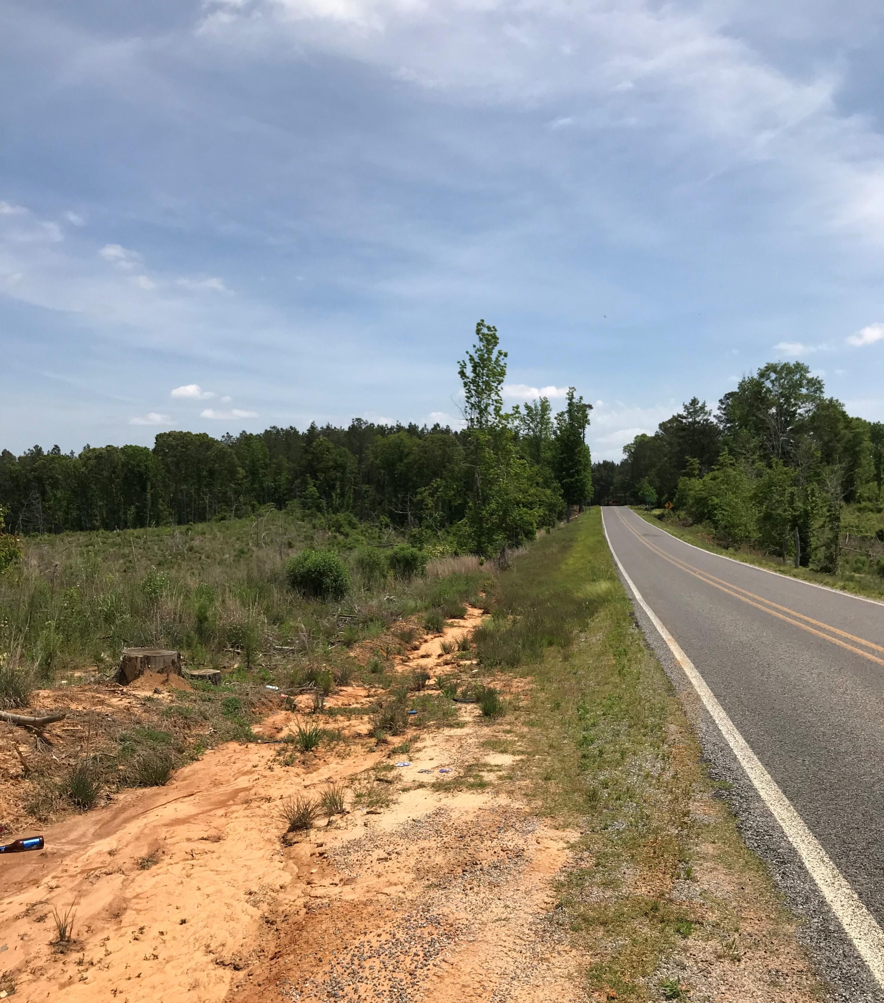 Carthage, Leake County, MS Timberland Property, Hunting Property for