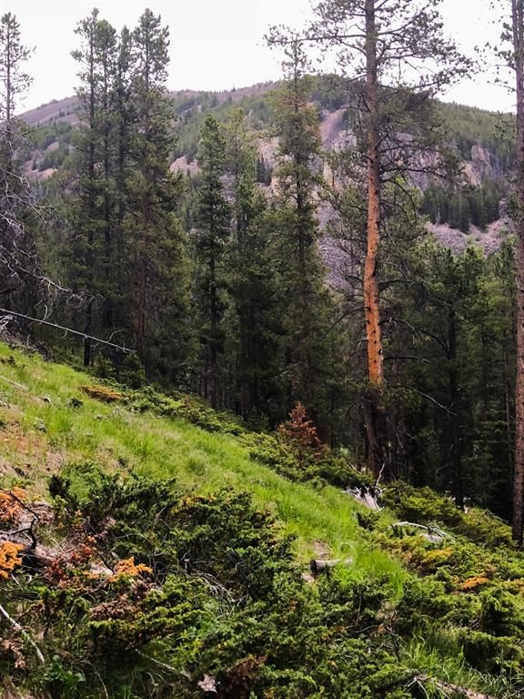 Neihart, Cascade County, MT Undeveloped Land, Homesites for sale