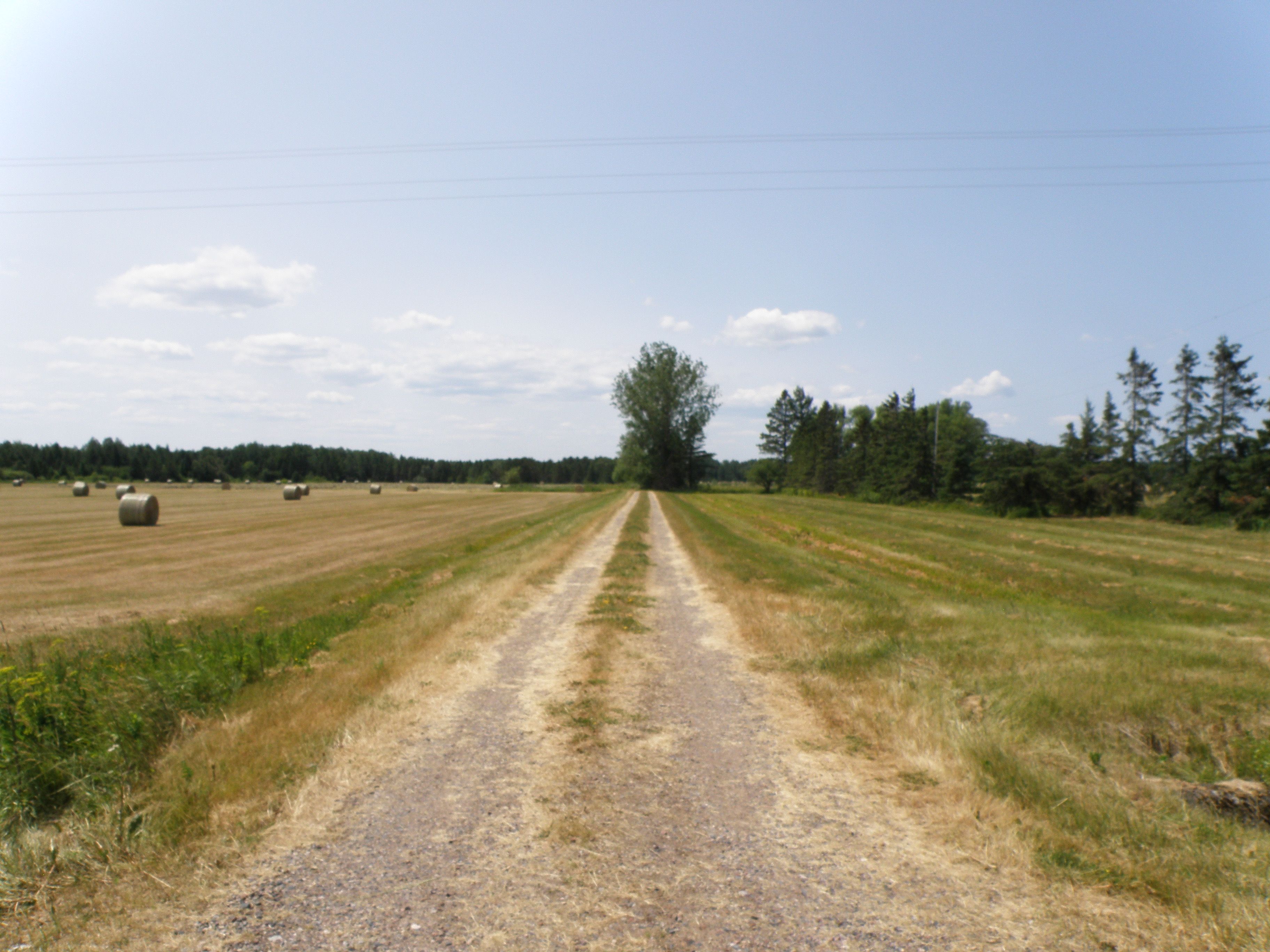 Rudyard, Chippewa County, MI Undeveloped Land for sale Property ID